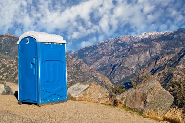 Best Sanitation services for porta potties  in Genoa City, WI